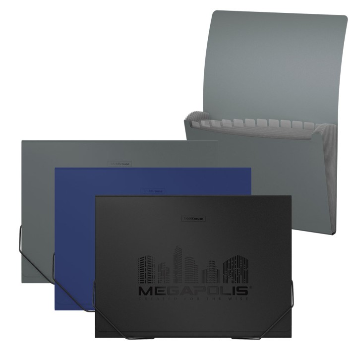 ErichKrause® Папка-картотека пластик. "Megapolis" с 12 отделениями, (поштучно) арт.50430