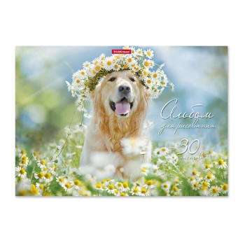 ErichKrause® Альбом для рисования на клею "Самые добрые собаки" 30 листов арт.49837