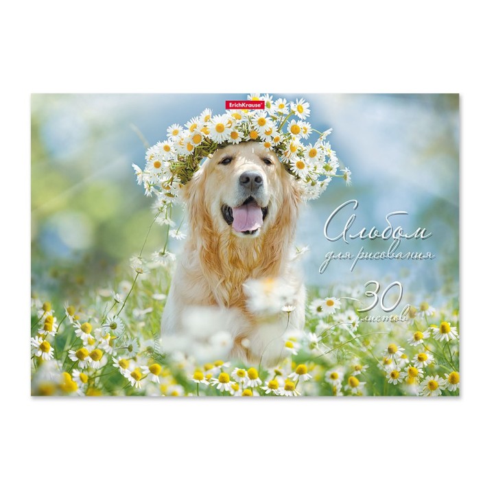 ErichKrause® Альбом для рисования на клею "Самые добрые собаки" 30 листов арт.49837