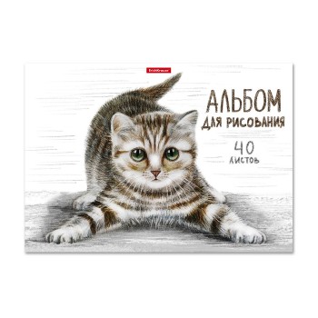 ErichKrause® Альбом для рисования на клею "Tabby" 40 листов арт.49844