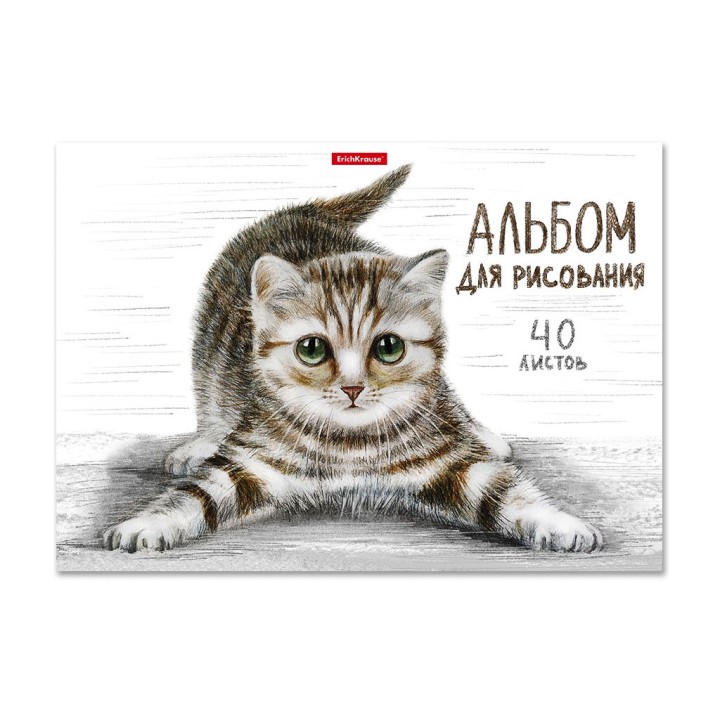 ErichKrause® Альбом для рисования на клею "Tabby" 40 листов арт.49844