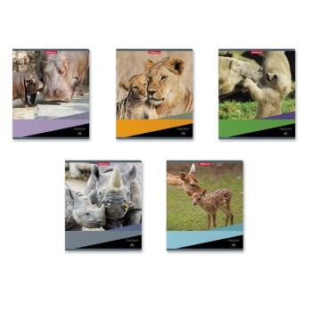 ErichKrause® Тетрадь общая ученическая "Идиллия" 48 листов, линейка (поштучно) арт.47528