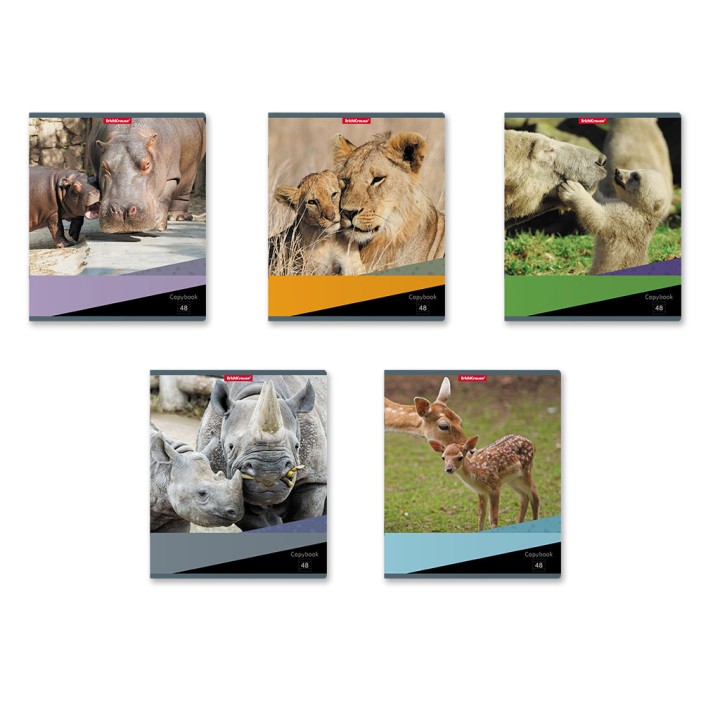 ErichKrause® Тетрадь общая ученическая "Идиллия" 48 листов, линейка (поштучно) арт.47528