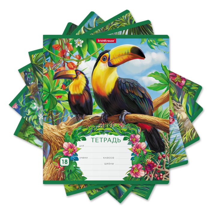 ErichKrause® Тетрадь школьная ученическая "Экзотические птицы" 18 лист, линейка (поштучно) арт.49192