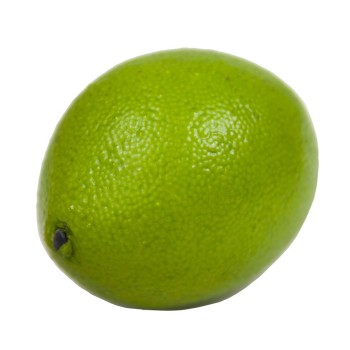 Муляж "Лайм" арт.FT387 GN /48