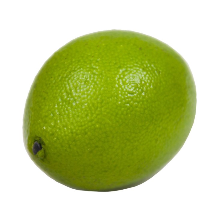 Муляж "Лайм" арт.FT387 GN /48