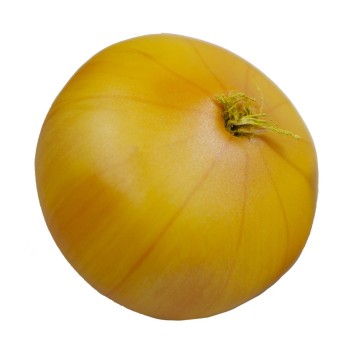 Муляж "Лук" арт.FT2188 N /48