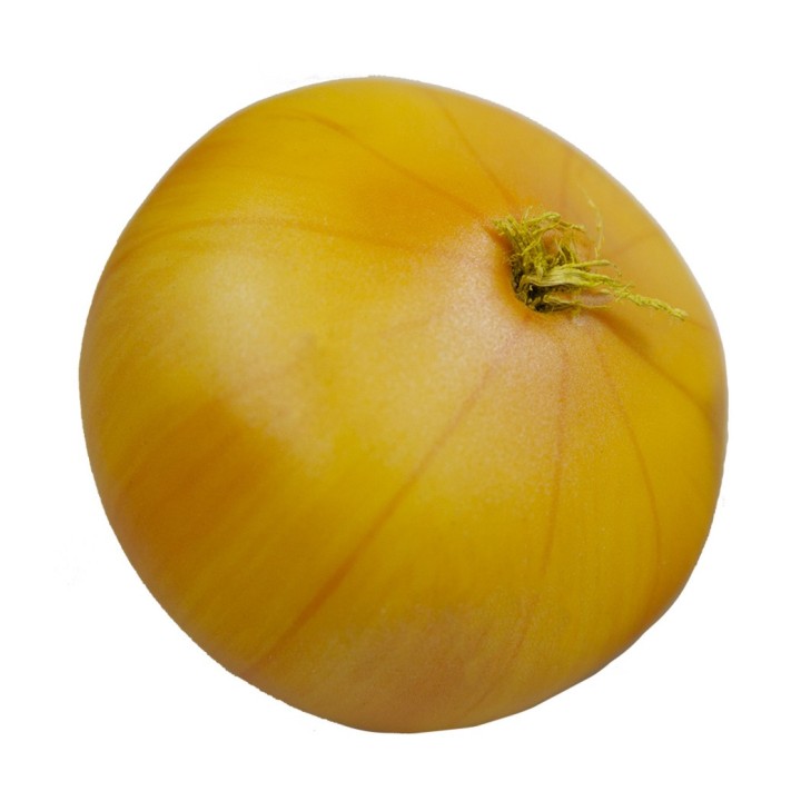 Муляж "Лук" арт.FT2188 N /48