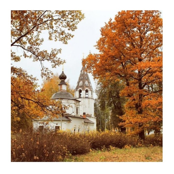 Molly. Картины мозаикой KM0677 "Осень в глубинке" (30х30) 19 цветов 1/20