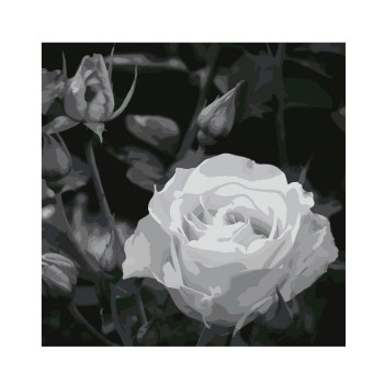 Molly. Картина по номерам KHM0035 "Белая роза" (30Х30) 24 цвета /23