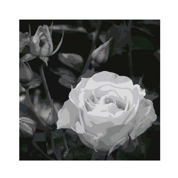 Molly. Картина по номерам KHM0035 "Белая роза" (30Х30) 24 цвета /23