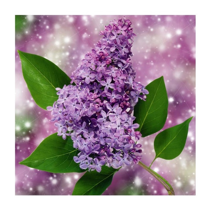 Molly. Картины мозаикой KM0680 "Ветка сирени" (30х30) 24 цвета 1/20