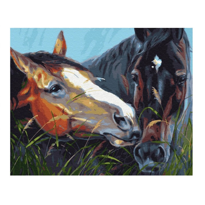 Molly. Картина по номерам KH0815 "С любовью" (40х50) 28 цветов 1/20