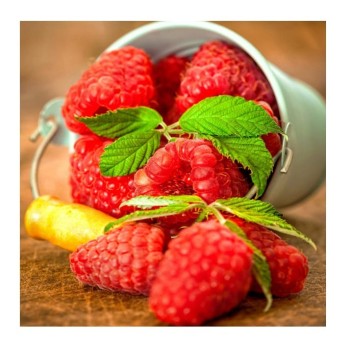 Molly. Картины мозаикой KM0899 "Ягода малина" (30х30) 31 цвет 1/20