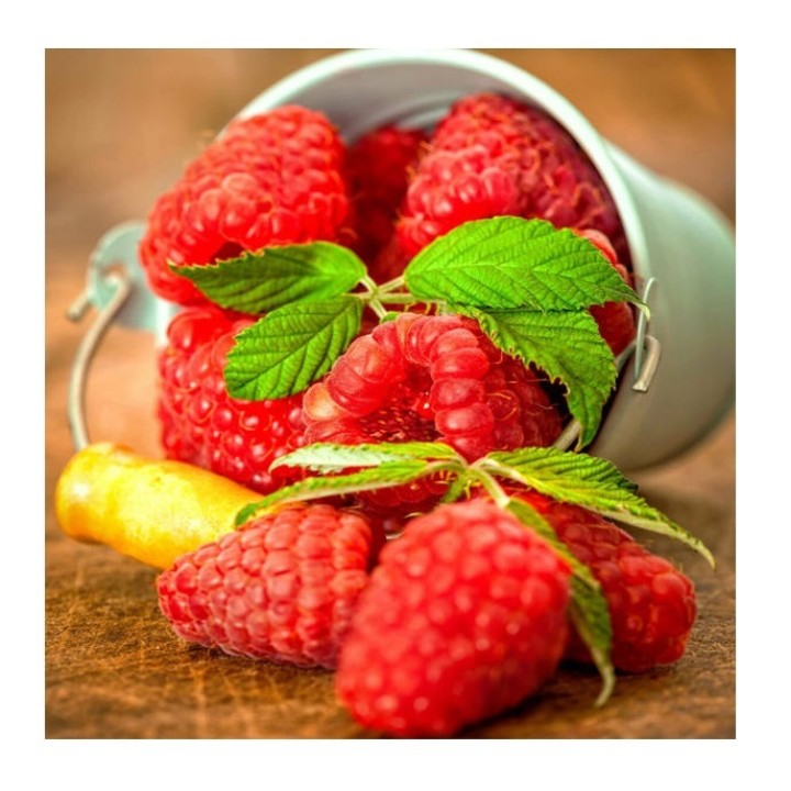 Molly. Картины мозаикой KM0899 "Ягода малина" (30х30) 31 цвет 1/20