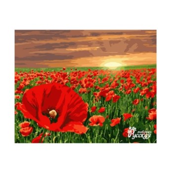Рисование по номерам арт.B017 "Маки" 40х50