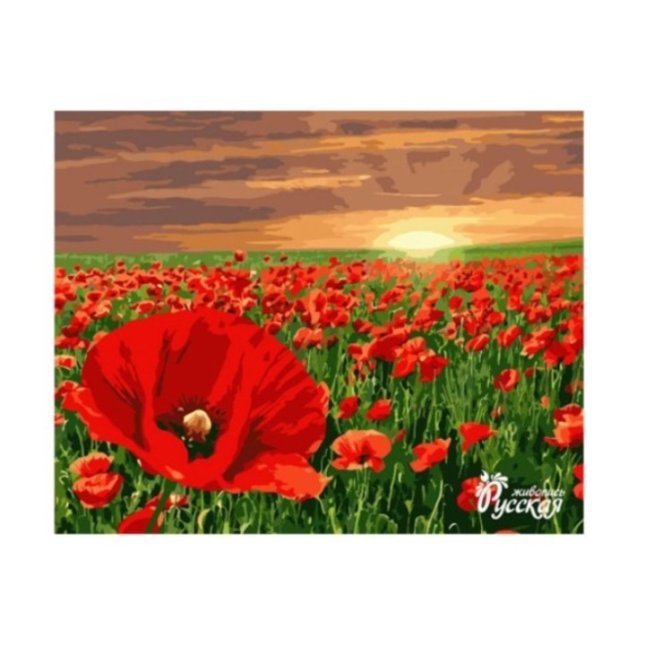 Рисование по номерам арт.B017 "Маки" 40х50