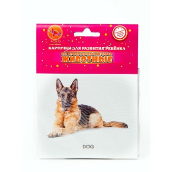 Ракета. Карточки для развития ребенка двухсторонние "Животные.Учим английский" арт.Р-1698