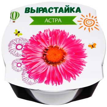 Ракета. Набор для творчества "Вырастайка" Астра (пласт.горшок с обечайкой) арт.р0370