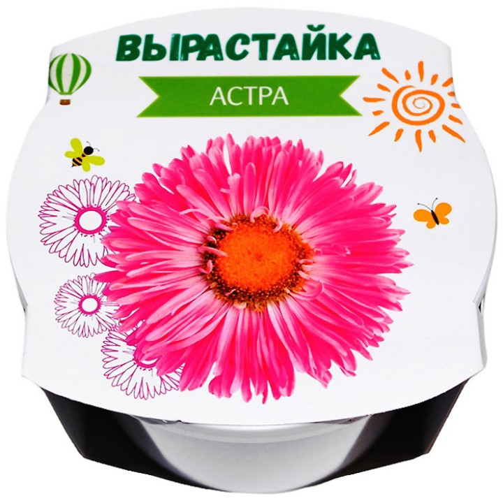 Ракета. Набор для творчества "Вырастайка" Астра (пласт.горшок с обечайкой) арт.р0370