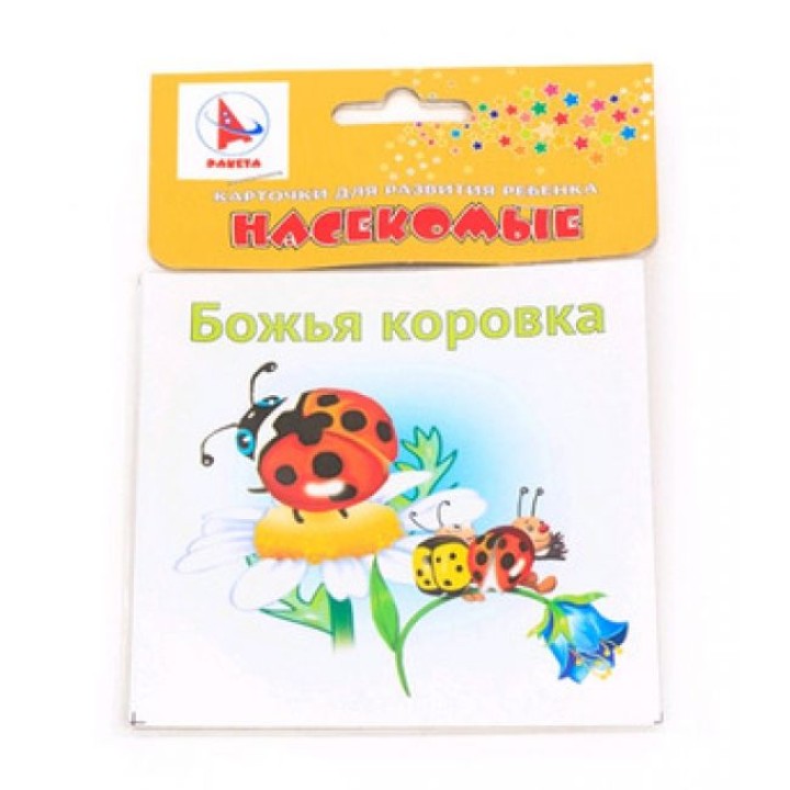 Ракета. Карточки для развития ребенка двухсторонние "Насекомые" Р-2862