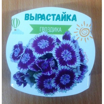 Ракета. Набор для творчества "Вырастайка" Гвоздика (пласт.горшок с обечайкой) арт.4620160623