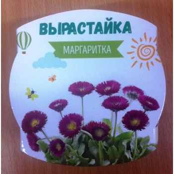 Ракета. Набор для творчества "Вырастайка" Маргаритка (пласт.горшок с обечайкой) арт.46201606