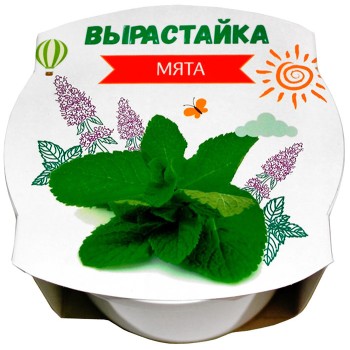 Ракета. Набор для творчества "Вырастайка" Мята (пласт.горшок с обечайкой) арт.р0332