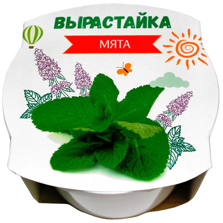 Ракета. Набор для творчества "Вырастайка" Мята (пласт.горшок с обечайкой) арт.р0332
