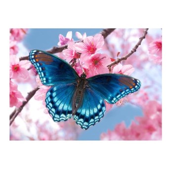 Школа талантов. Алмазная вышивка 15х21 см арт.5299771 "Бабочка" с частичным заполнением (холст)