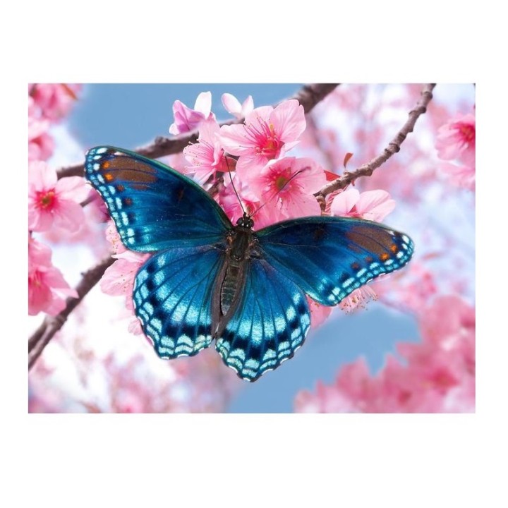 Школа талантов. Алмазная вышивка 15х21 см арт.5299771 "Бабочка" с частичным заполнением (холст)