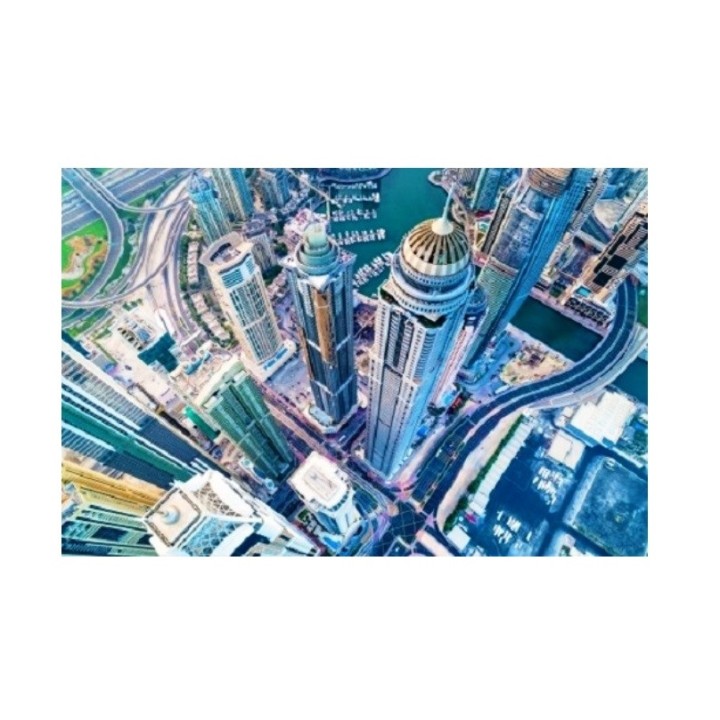 Рыжий кот. Холст 40х50 арт.Х-9002 с красками по номерам "Вид на небоскребы"