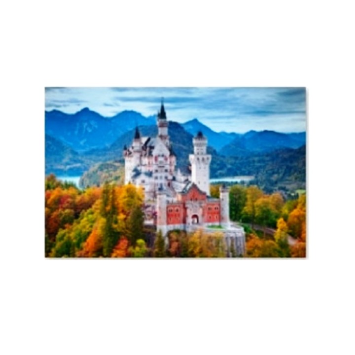 Рыжий кот. Холст 22х30 арт.HS184 с красками по номерам "Красивый замок"