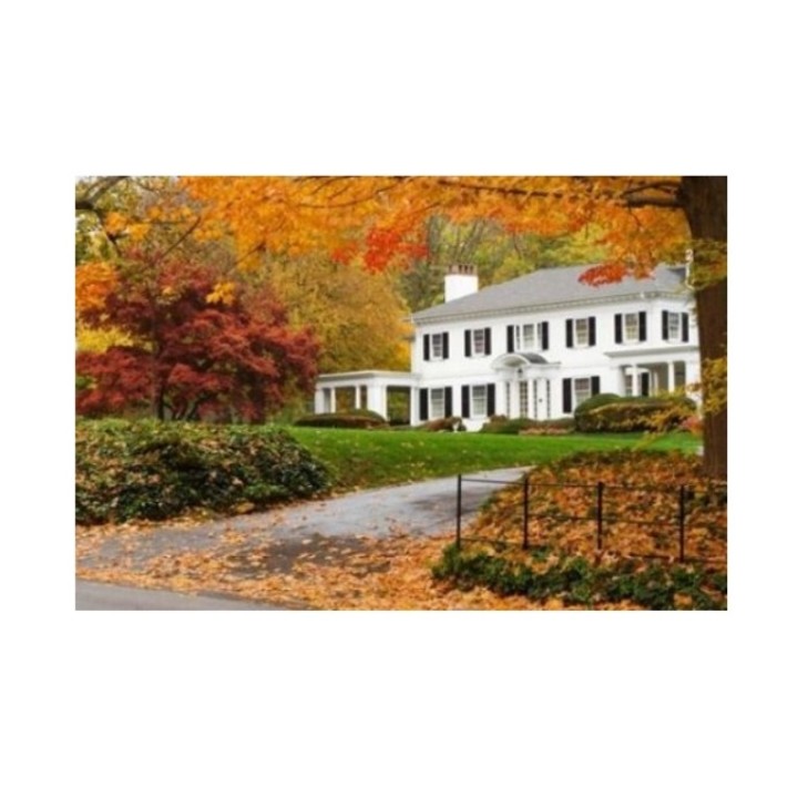 Рыжий кот. Холст 22х30 арт.HS185 с красками по номерам "Дом в осеннем лесу"