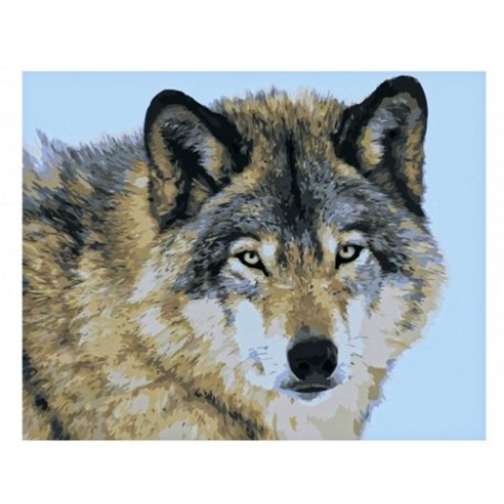 Рыжий кот. Холст 40х50 арт.Х-9182 с красками по номерам "Вгляд волка"