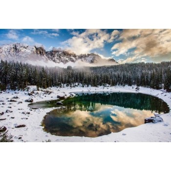 Рыжий кот. Холст 30х40 арт.Х-8088 с красками по номерам "Зимний лес у озера"