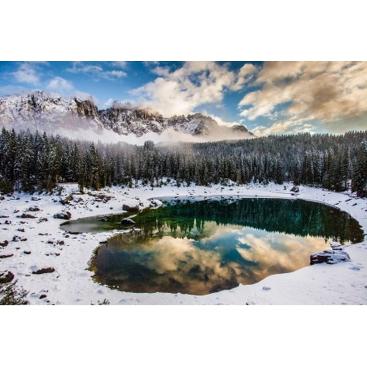 Рыжий кот. Холст 30х40 арт.Х-8088 с красками по номерам "Зимний лес у озера"