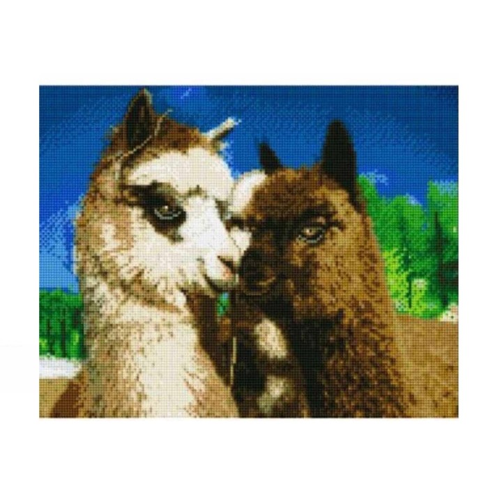 Рыжий кот. Алмаз. мозаика AC4066 40х50 см, с подр. (25цв.) "Милые ламы"