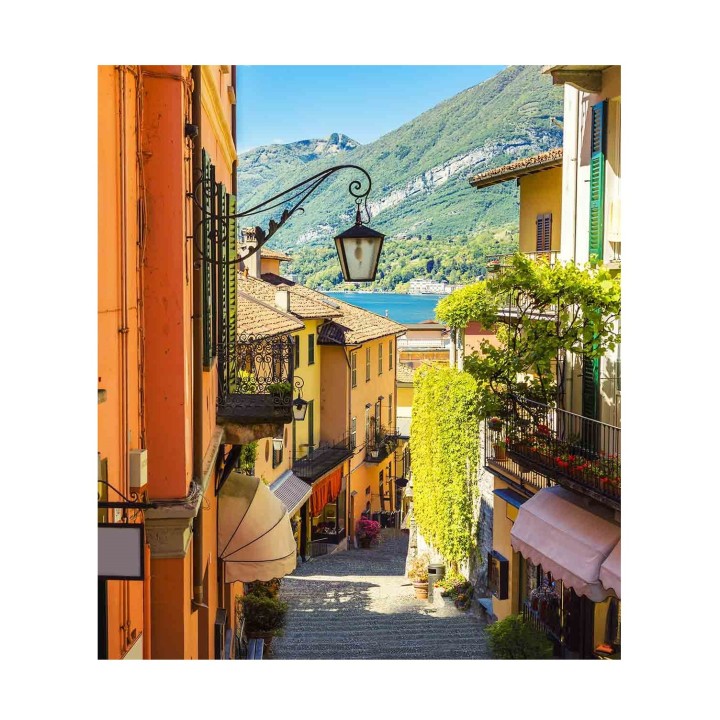 Рыжий кот. Холст 22х30 арт.HS107 с красками по номерам "Белладжио. Италия"