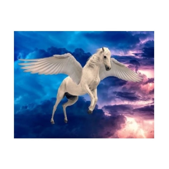 Рыжий кот. Холст 30х40 арт.Х-8628 с красками по номерам "Пегас в небе"