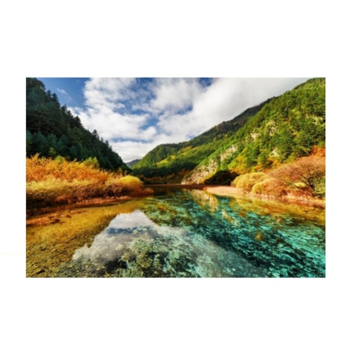 Рыжий кот. Холст 40х50 арт.Х-3565 с красками по номерам "Зеркальное озеро в горах"