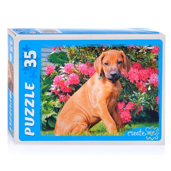 Рыжий кот. Макси-пазлы 35 эл. арт.0618 "Щенок"