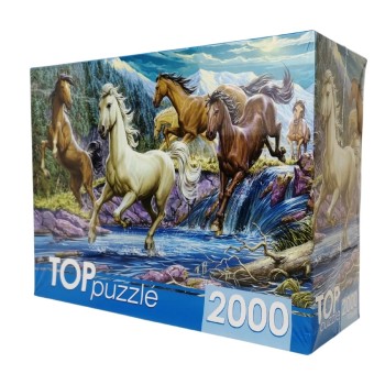 Рыжий кот. TOPpuzzle. Пазлы 2000 эл. арт.1594 "Ночной табун лошадей"