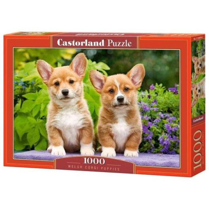 Castorland. Пазл 1000 арт.C-104659 "Щенки корги"