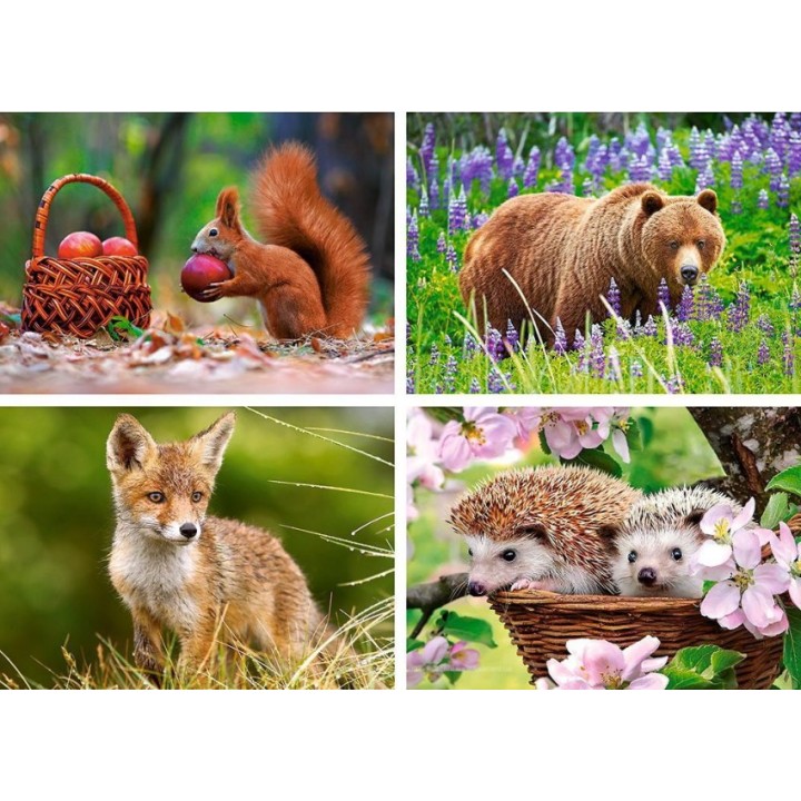 Castorland. Пазл 120 MINI арт.A-12022-DZ "Дикие животные" (мягкая коробка)