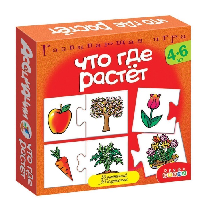 Дрофа. Ассоциации "Что где растет" арт.2929/1351 /30