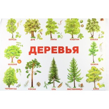 Плакат Деревья (Линг)