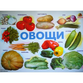 Плакат Овощи (Линг)