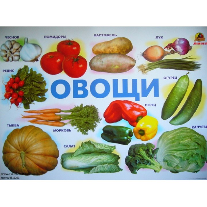 Плакат Овощи (Линг)