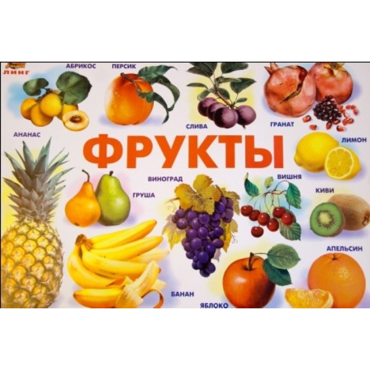 Плакат Фрукты (Линг)